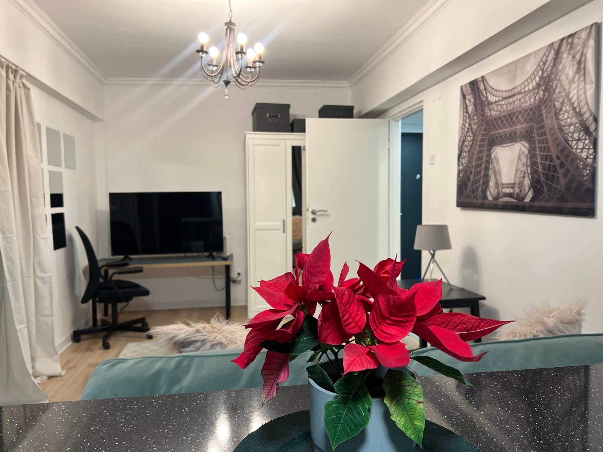 Cosy Studio Floreasca 부쿠레슈티 외부 사진