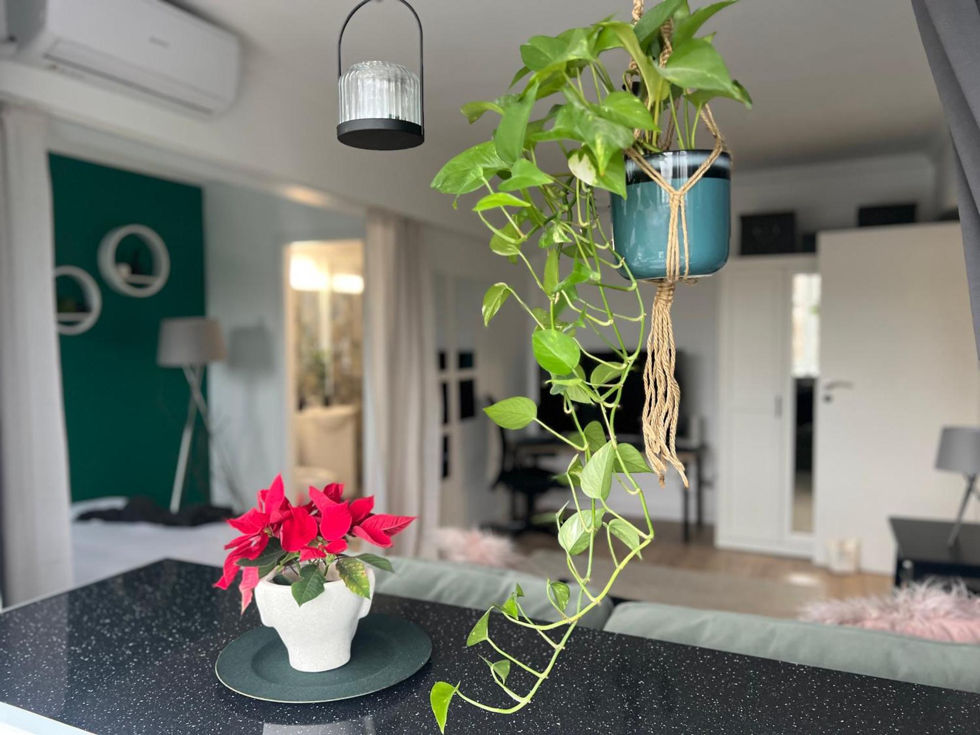 Cosy Studio Floreasca 부쿠레슈티 외부 사진